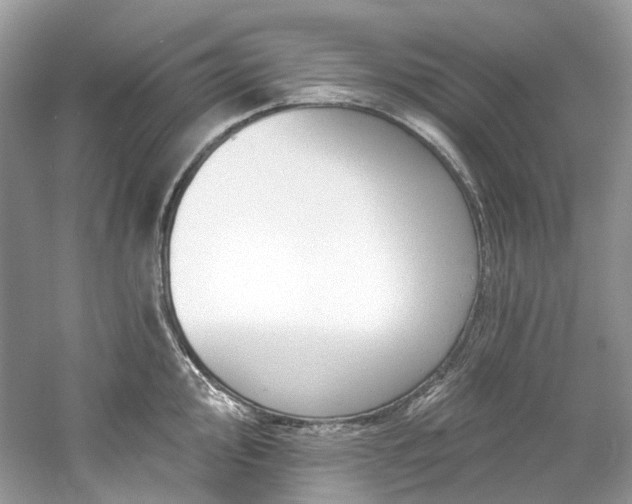 X0000061151000200511181229