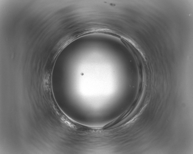 X0000061151001200511181229