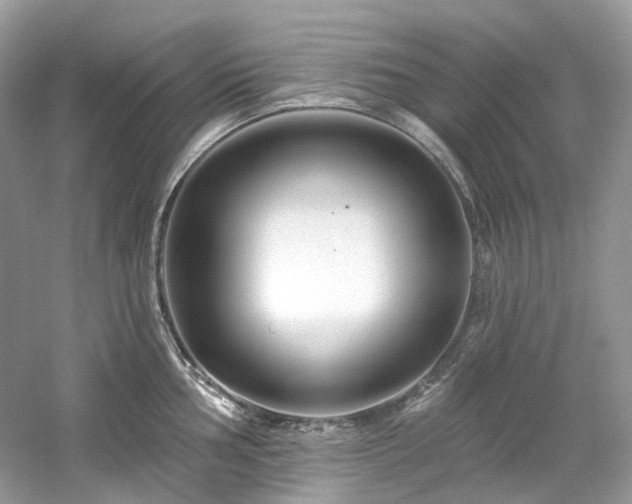 X0000061151002200511181229