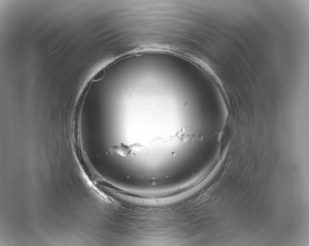 X0000061151003200511181229