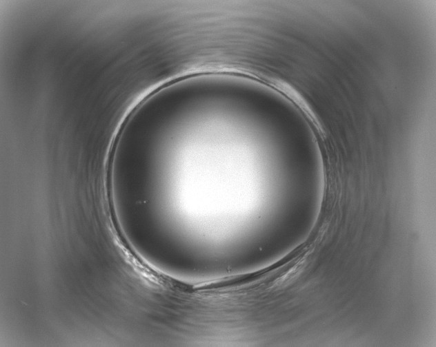 X0000061151004200511181229