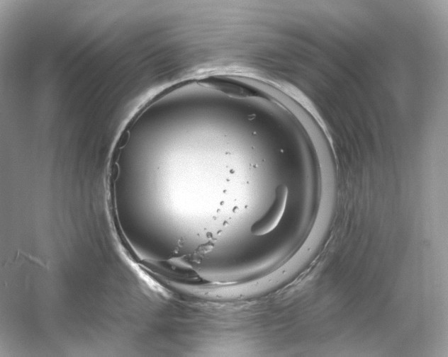 X0000061151005200511181229