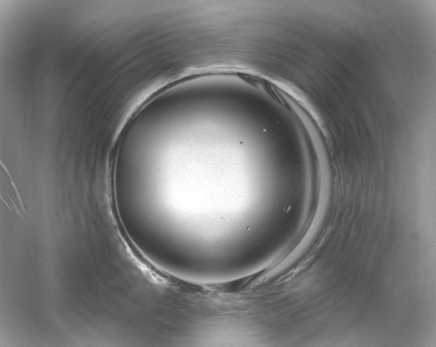 X0000061151006200511181229