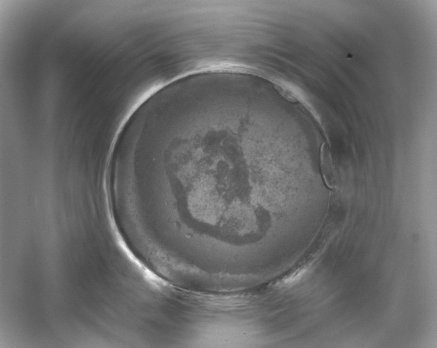 X0000061151007200511181229