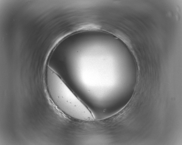 X0000061151008200511181229