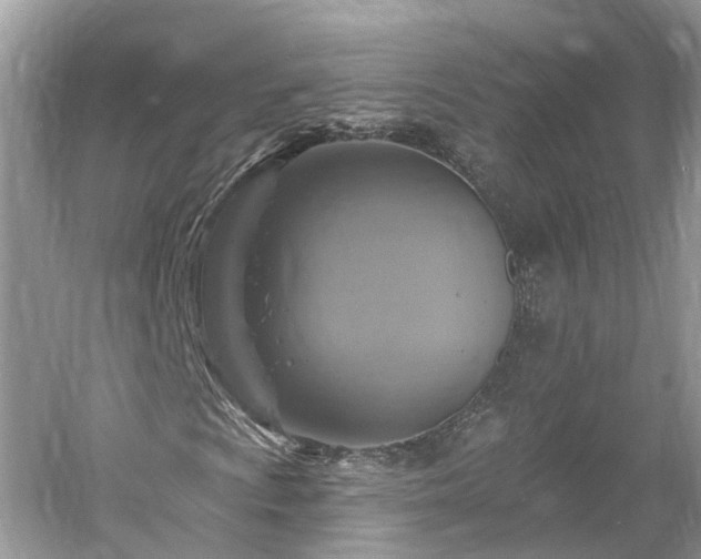 X0000061151009200511181228