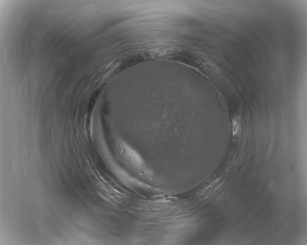 X0000061151011200511181228