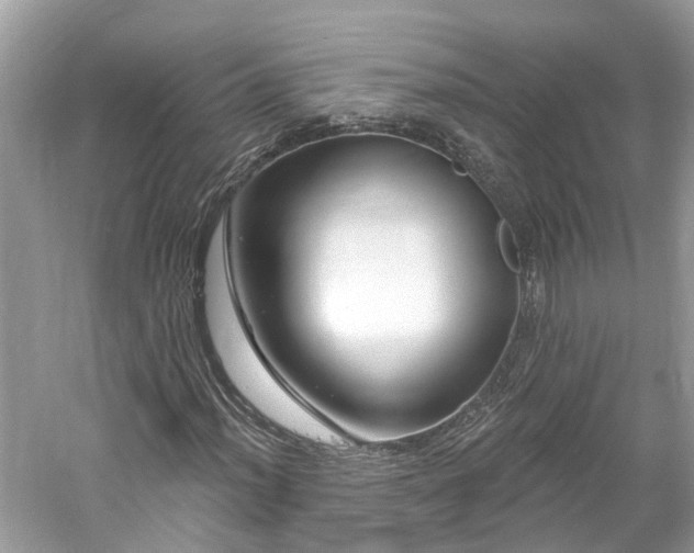 X0000061151012200511181228