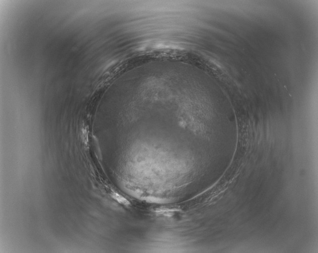 X0000061151013200511181228