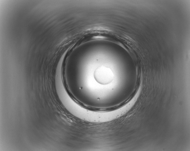 X0000061151014200511181228