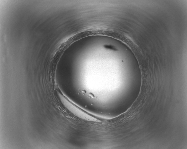 X0000061151016200511181228