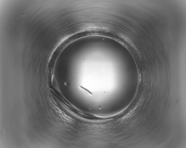 X0000061151021200511181228