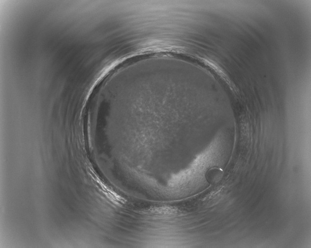 X0000061151023200511181228