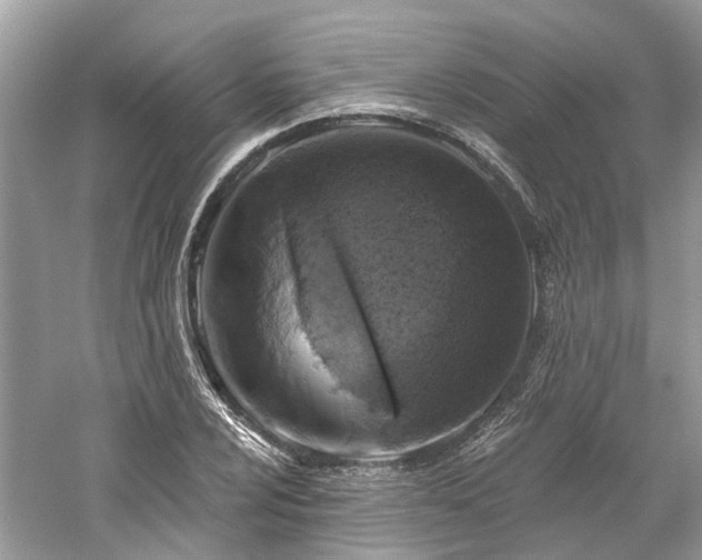 X0000061151024200511181228