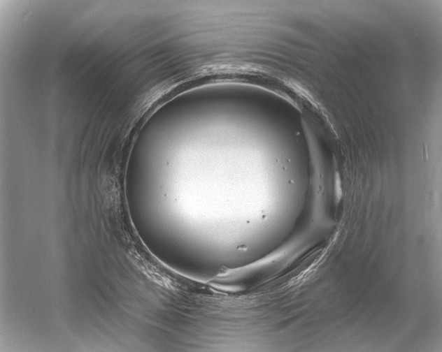 X0000061151025200511181228