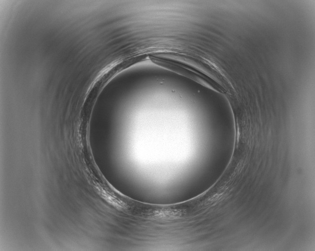 X0000061151026200511181228