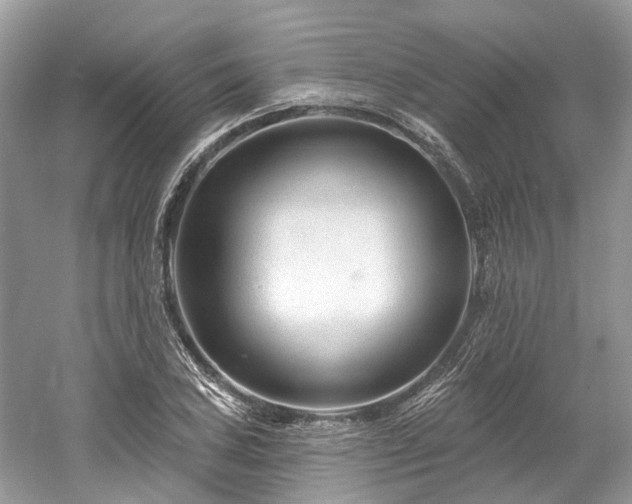 X0000061151027200511181229