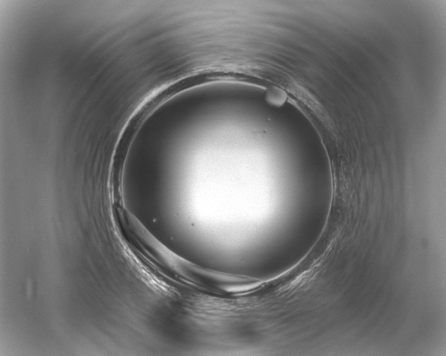 X0000061151028200511181229