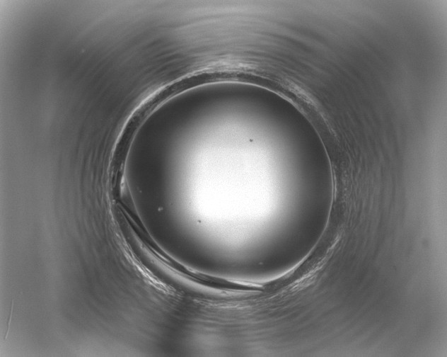 X0000061151029200511181229