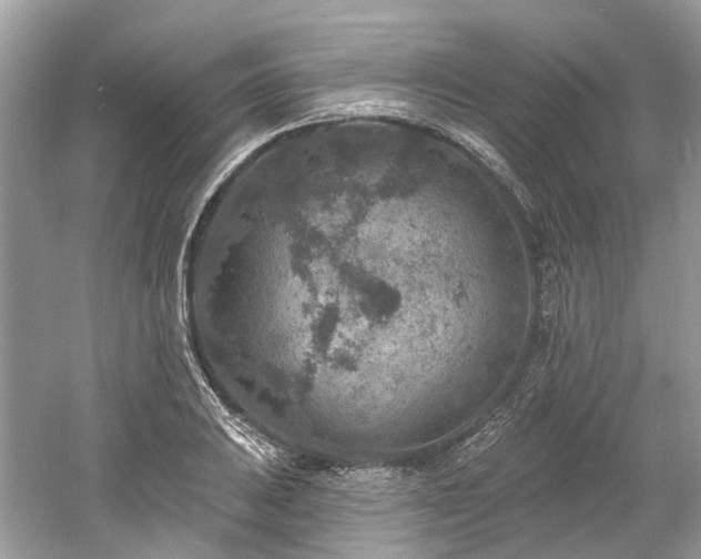 X0000061151031200511181229