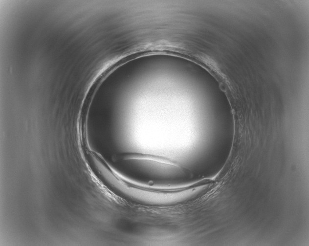 X0000061151032200511181229