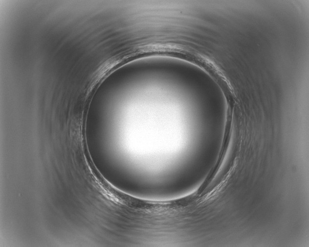 X0000061151033200511181229