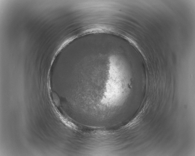 X0000061151034200511181229