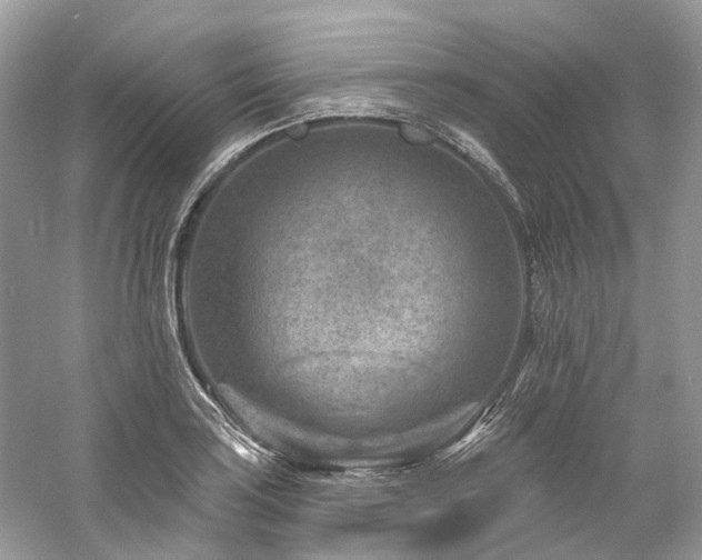 X0000061151035200511181229