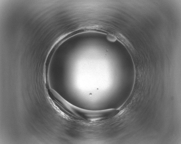 X0000061151036200511181229