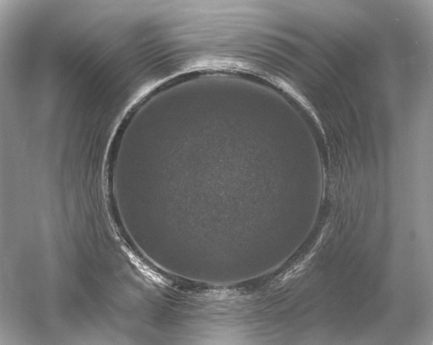 X0000061151037200511181229