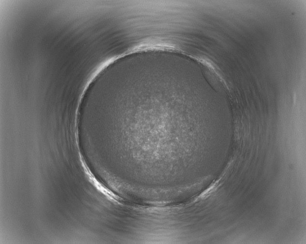 X0000061151038200511181229