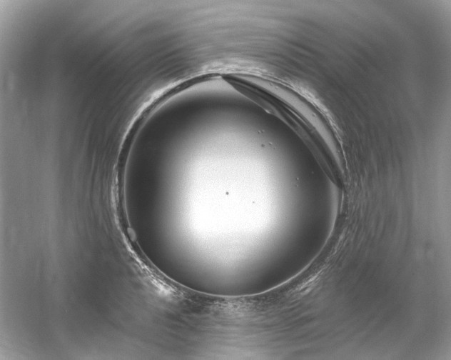 X0000061151040200511181229