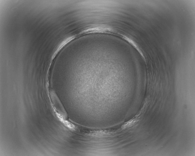 X0000061151042200511181229