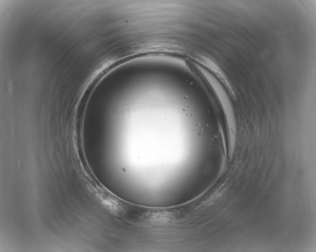 X0000061151043200511181229