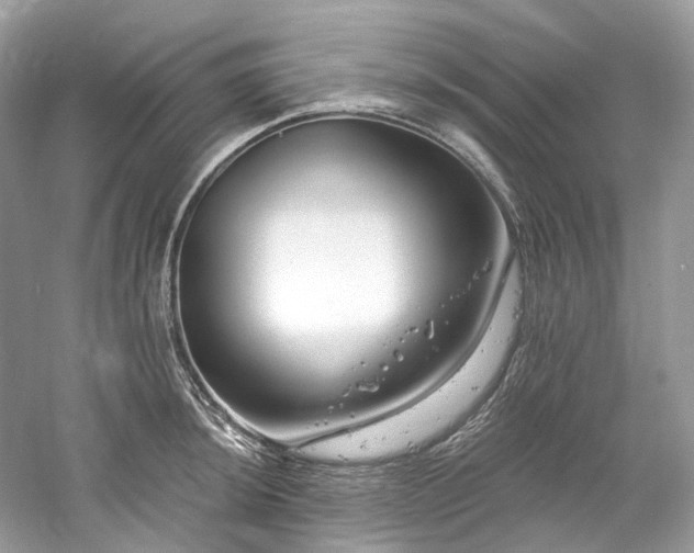 X0000061151044200511181229