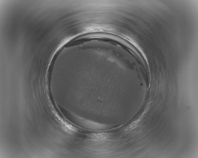 X0000061151045200511181229