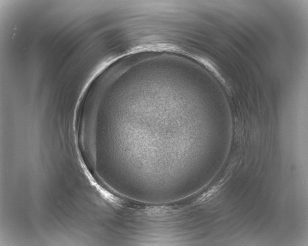 X0000061151046200511181229