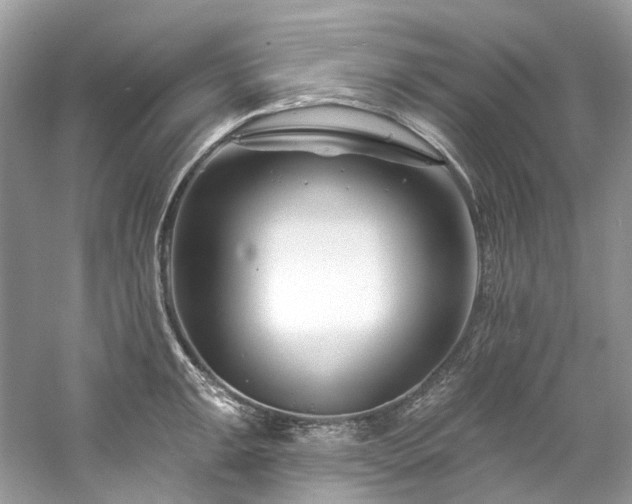 X0000061151047200511181229