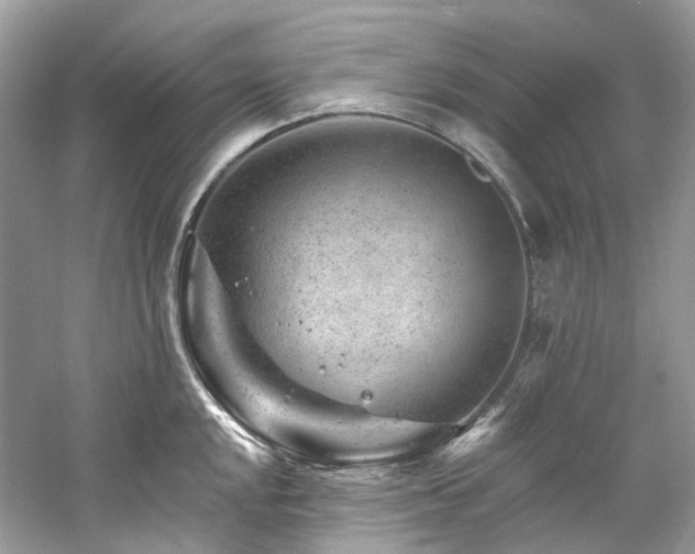 X0000061151048200511181229