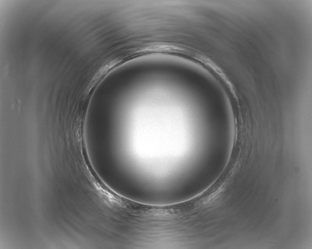 X0000061151049200511181229