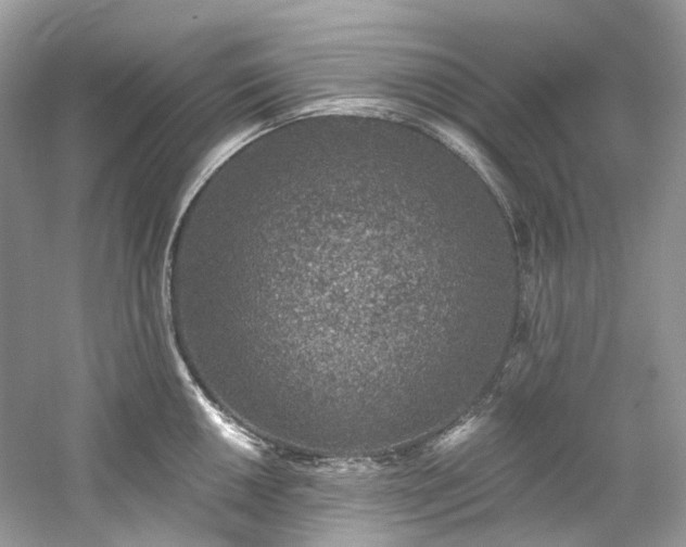 X0000061151050200511181229