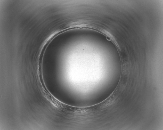 X0000061151051200511181229