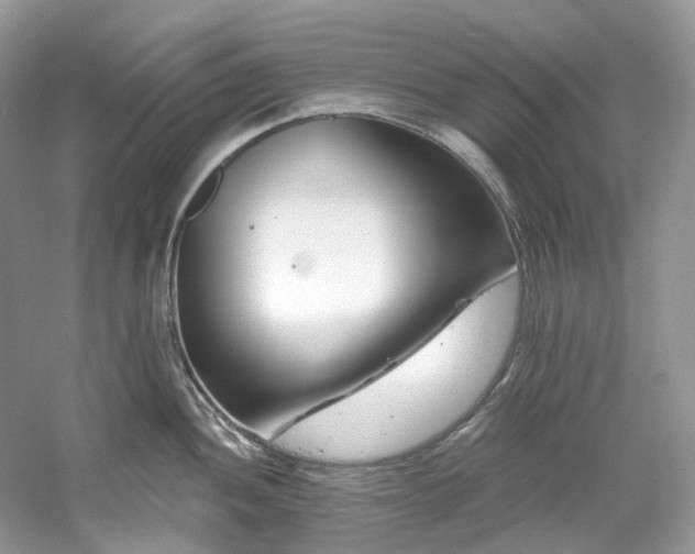 X0000061151052200511181229