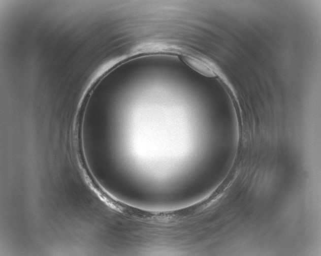 X0000061151053200511181229