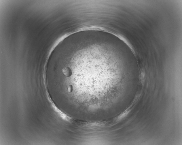 X0000061151054200511181229