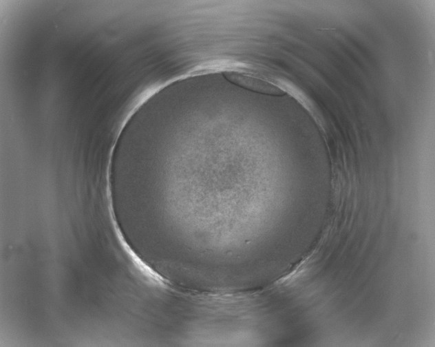 X0000061151055200511181229