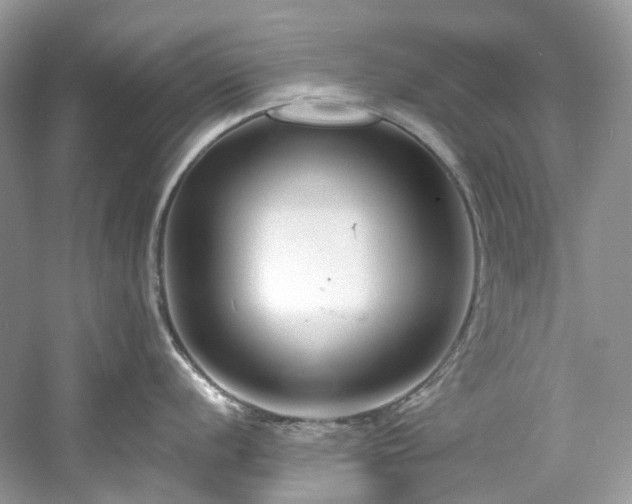 X0000061151056200511181229