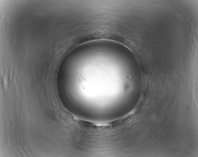 X0000061151057200511181228