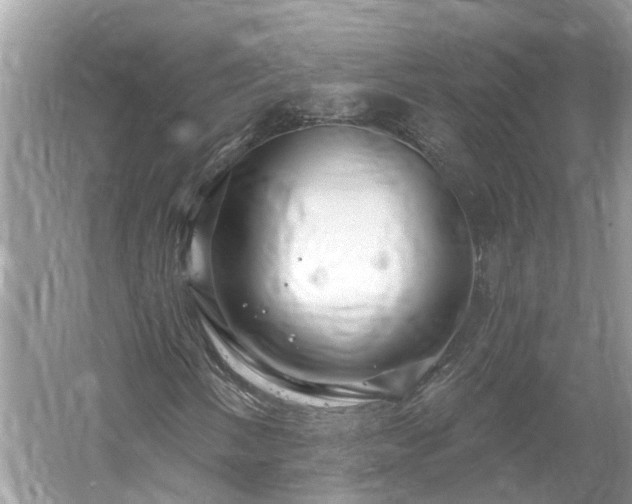 X0000061151058200511181228