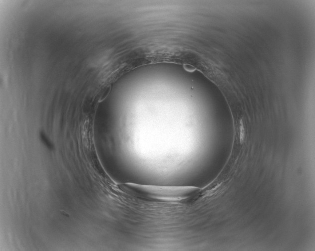 X0000061151059200511181228